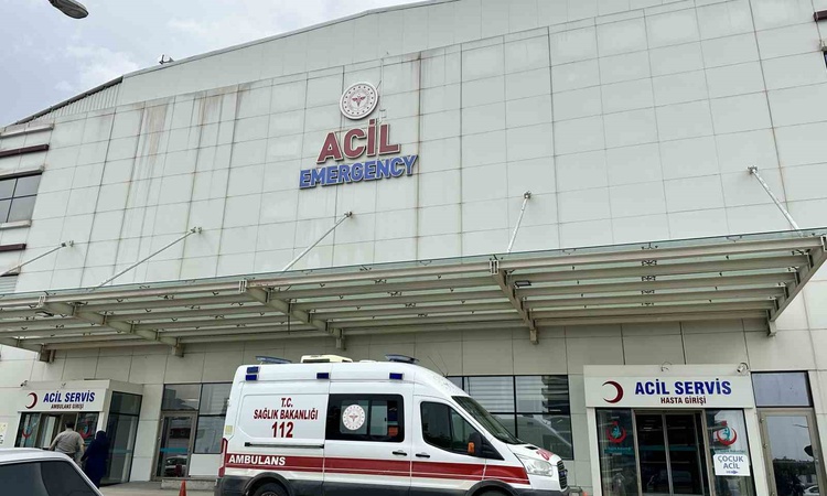 Kastamonu'da ormandan topladıkları mantardan zehirlenen 30 kişi tedavi altına alındı ve Merak Edilenler