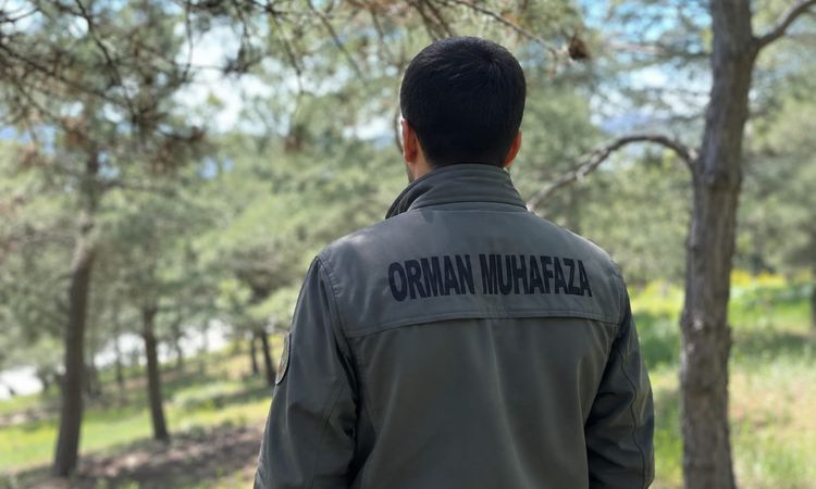 Son Gelişme: KDK'dan, diyabet hastası orman muhafaza memuru için 'açık arazide çalışmasın' tavsiye kararı - So