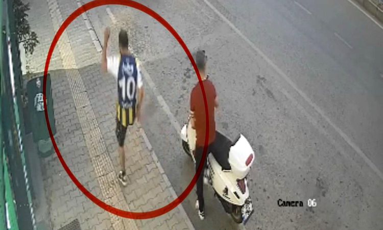 The person who kicked the cat was caught on camera - Last Minute