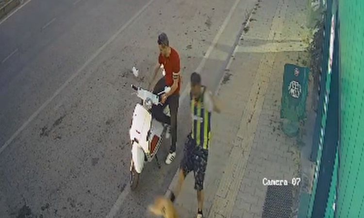 The suspect who kicked the cat was captured - Last Minute