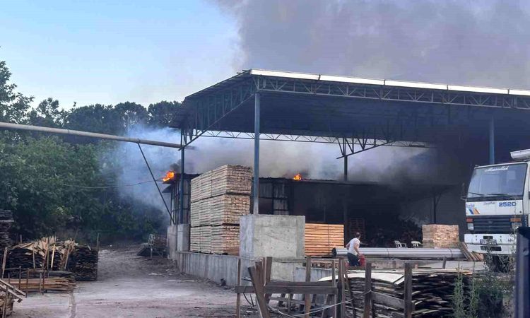 Alarming Flames Erupt at Timber Business