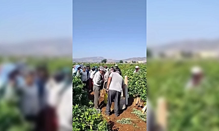 Kilis’te yaş üzüm fiyatına ilginç protesto: Bağlarda sela okuyup dua ettiler - Son Dakika Bilgileri