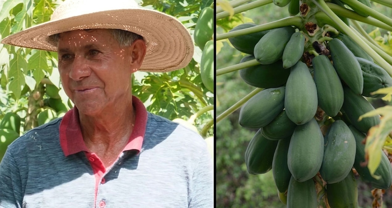 He found the formula that makes him rich on rented land: He harvests non-stop and earns 135 thousand TL per month - Last Minute