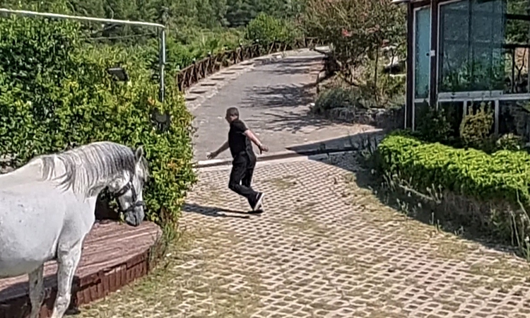 Klip çekiminde atın altında kalmaktan son anda kurtuldu