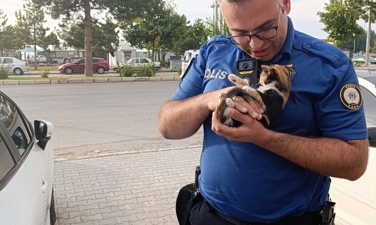 Konya Beyşehir'de polis, otomobil motorundaki yavru kediyi kedi sesiyle kurtardı - Son Dakika Bilgileri