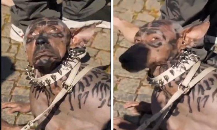 Kritik Açıklama: Köpeğe benzeyen adam gerçek mi, yapay zeka videosu mu? - Son Dakika - Son Dakika Bilgileri