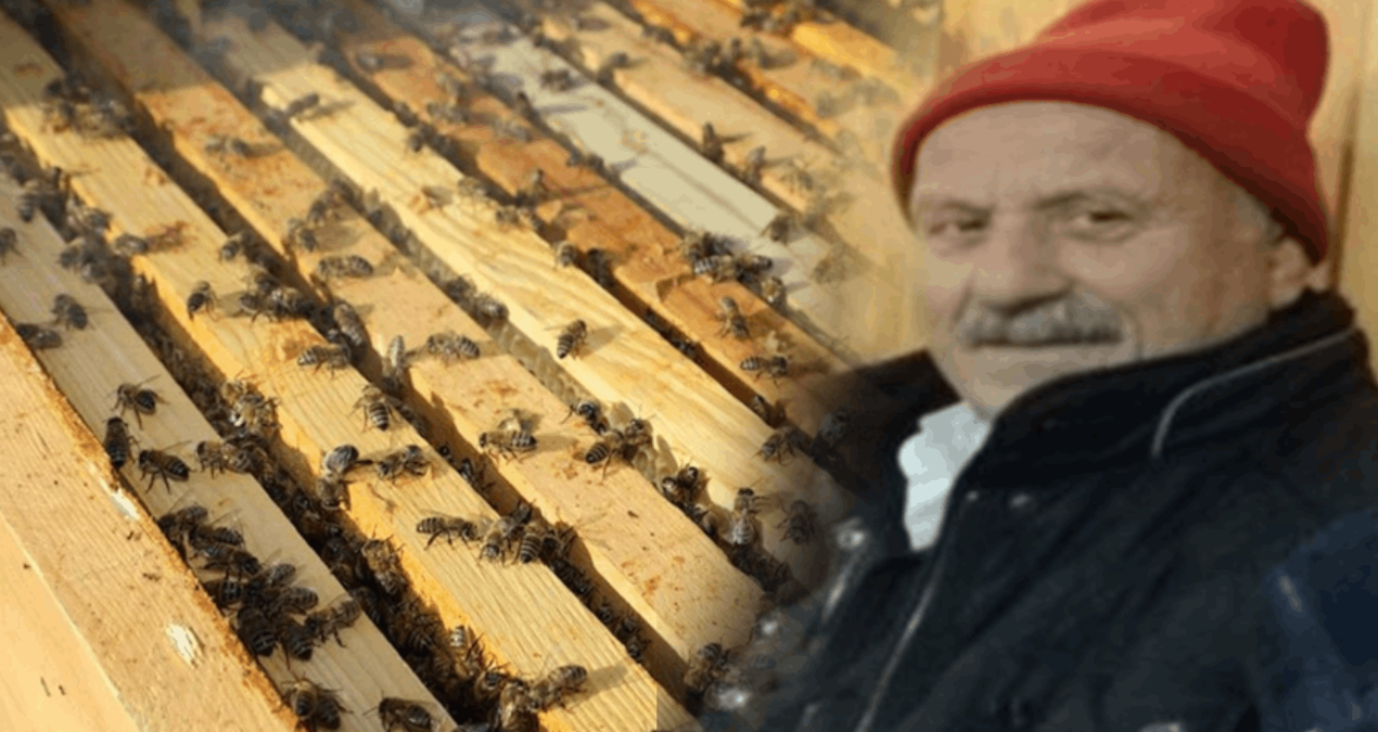 Kovana bakım yaparken canından oldu: Arı boğazından soktu! - Son Dakika ve Merak Edilenler