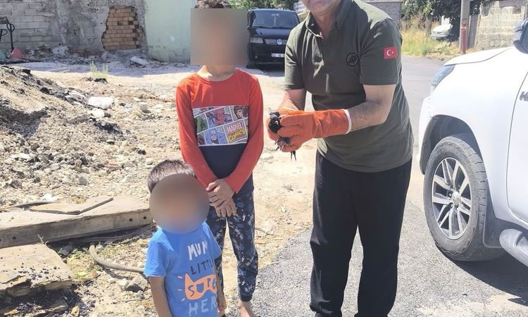 Kritik Açıklama: Adıyaman'da Yaban Hayvanları Koruma Altında: Gelişmeler Takip Ediliyor