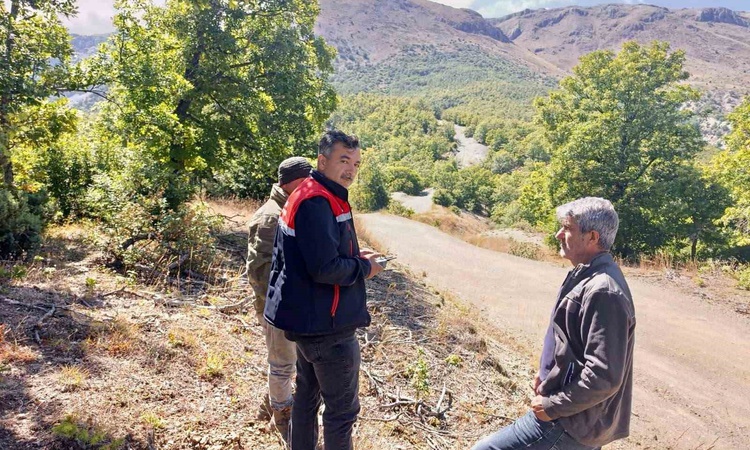 Kritik Açıklama: Afyonkarahisar Sultandağı'nda kaybolan 9 büyükbaş hayvan dron desteğiyle bulundu: Gelişmeler