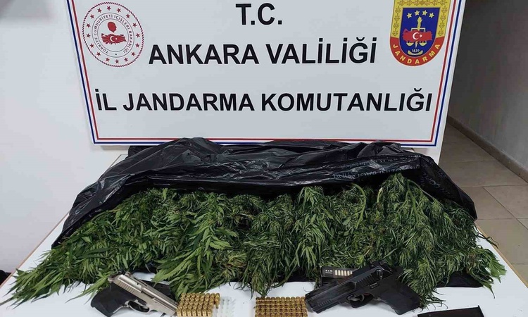 Kritik Açıklama: Ankara Elmadağ'da 1 şüpheli yakalanarak gözaltına sevk edildi, 2 kilo 600 gram skunk ele geçi