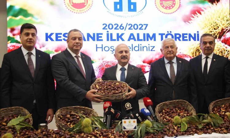 Kritik Açıklama: Aydın'da sezonun ilk kestaneleri 16 üreticiden kilogramı 600 TL'den alındı - Son Dakika Bilgi
