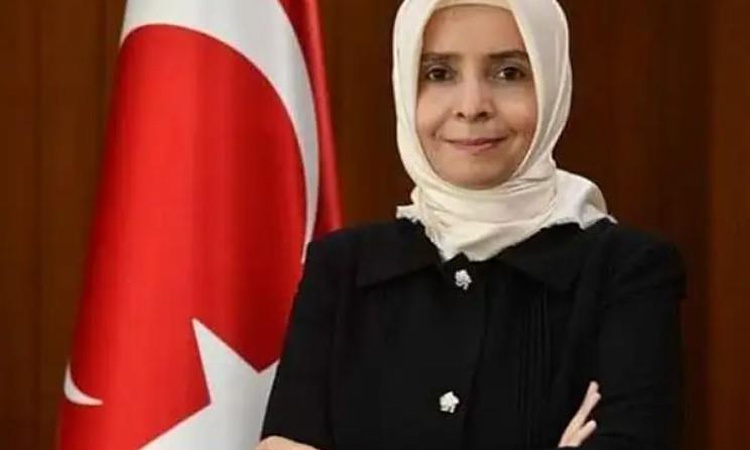 Kritik Açıklama: Ayşe Hilal Sayan Koytak kimdir, Ayşe Hilal Sayan Koytak kaç yaşında, nereli, görevi ne? - Son