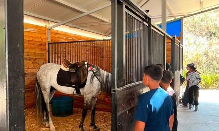 Kritik Açıklama: Bilecik'te Çocuklara Atlı Spor Sürprizi: Gelişmeler Takip Ediliyor