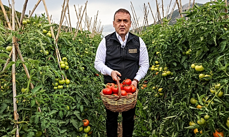 Kritik Açıklama: Bilecik Valisi Sözer, Osmaneli'de domates ve barbunya hasadı yapıp salça hazırladı: Gelişmele