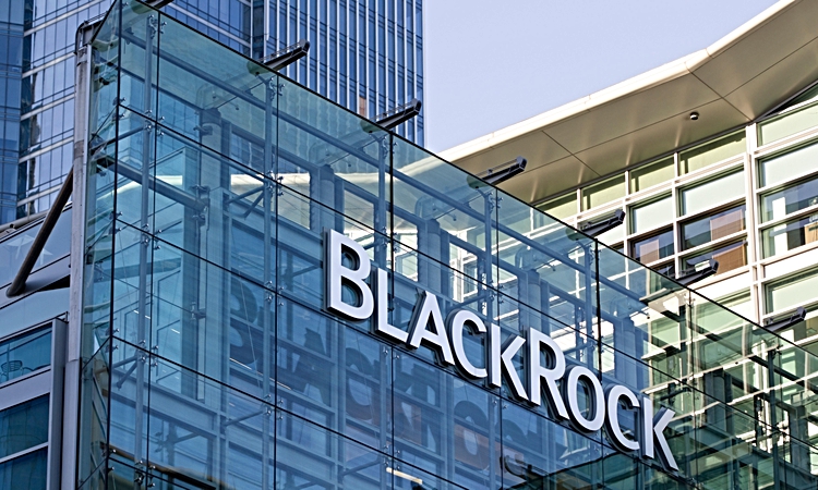 Kritik Açıklama: BlackRock kriptoda yeni talebin kaynağını tüm detaylarıyla paylaştı ve Merak Edilenler
