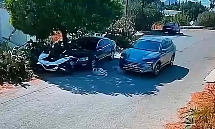 Kritik Açıklama: Bodrum'da 2 köpeğin üzerinden geçen sürücünün Ankara'da olduğu tespit edildi ve Merak Edilenl