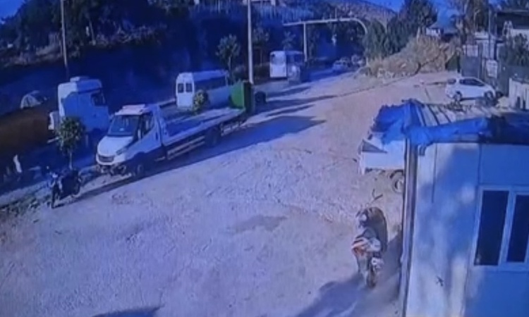 Kritik Açıklama: Bodrum'da TIR ile çarpışan motosikletin ağır yaralı sürücüsü hastanede öldü: Gelişmeler Takip