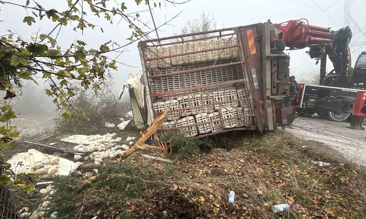 Kritik Açıklama: Bolu-Seben yolunda canlı tavuk yüklü kamyon devrildi, 4 kişi yaralandı: Gelişmeler Takip Edil