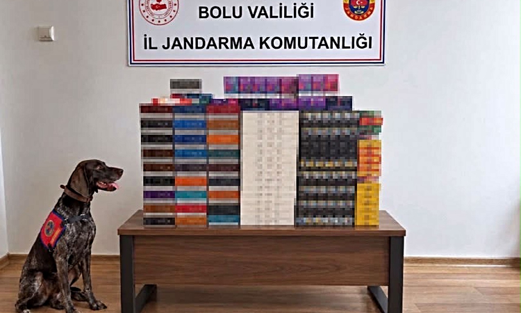 Kritik Açıklama: Bolu’da yolcu otobüslerinde kaçak tütün operasyonu: Piyasa değeri 760 bin TL