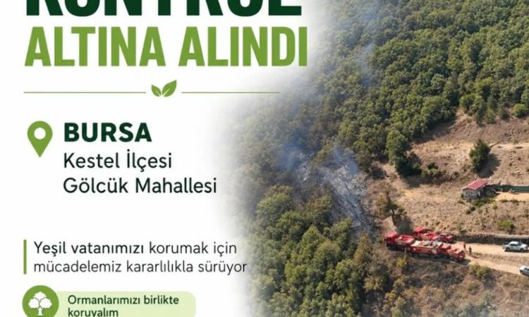 Kritik Açıklama: Bursa'daki Orman Yangını Kontrol Altına Alındı - Son Dakika Bilgileri
