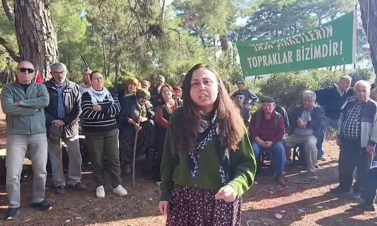 Kritik Açıklama: Danıştay 6. Dairesi Akbelen Ormanı'ndaki 679 parsel için açılan davayı reddetti