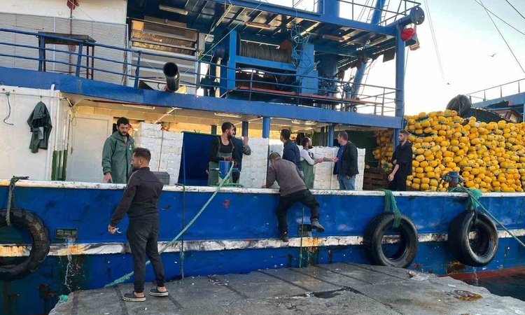 Kritik Açıklama: Didim İlçe Tarım ve Orman ekipleri hamsi kotası denetimlerini sürdürüyor | İşte Tüm Ayrıntıla