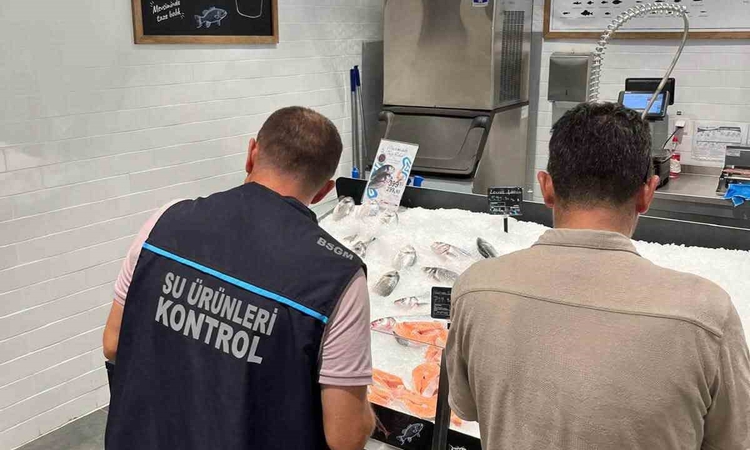 Kritik Açıklama: Didim’de su ürünleri satış yerleri denetlendi: Gelişmeler Takip Ediliyor