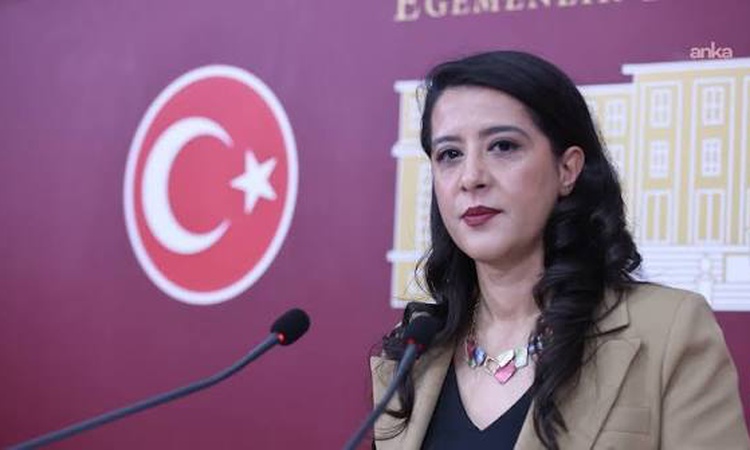 Kritik Açıklama: EMEP'li Karaca, gazeteciler Ağırel ve Özgür'ün gözaltısını Bakan Gürlek'e sordu