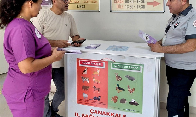 Kritik Açıklama: Gelibolu'dan kısa kısa