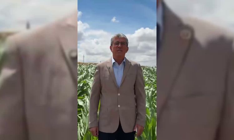 Kritik Açıklama: Gökhan Günaydın'dan TMO'ya "nohut alımı" için çağrı: Çiftçiyi tatmin edecek fiyatla derhal al