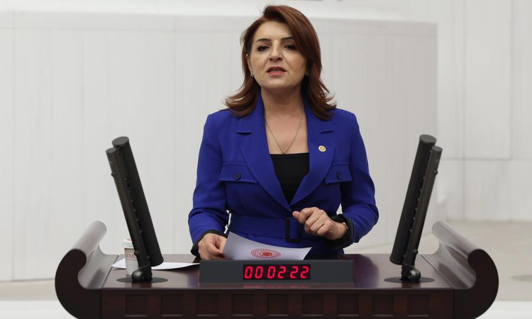 Kritik Açıklama: Gülcan Kış'tan Bakan Şimşek'e OVP sorusu: "Enflasyon yüzde 21, büyüme yüzde 4,2 olacaksa verg