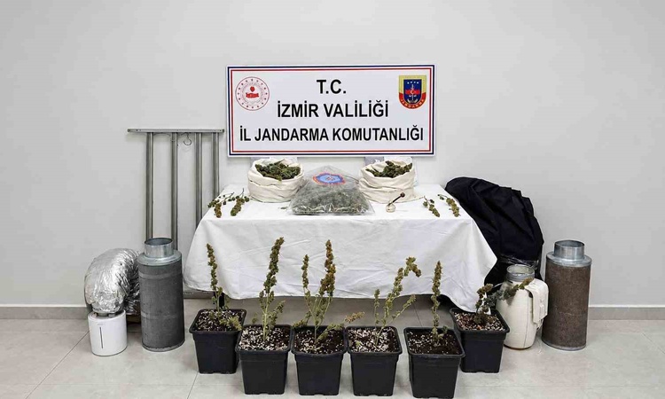 Kritik Açıklama: İzmir Karabağlar'da evinde yasa dışı skunk yetiştiren şüpheli yakalanarak gözaltına sevk edil