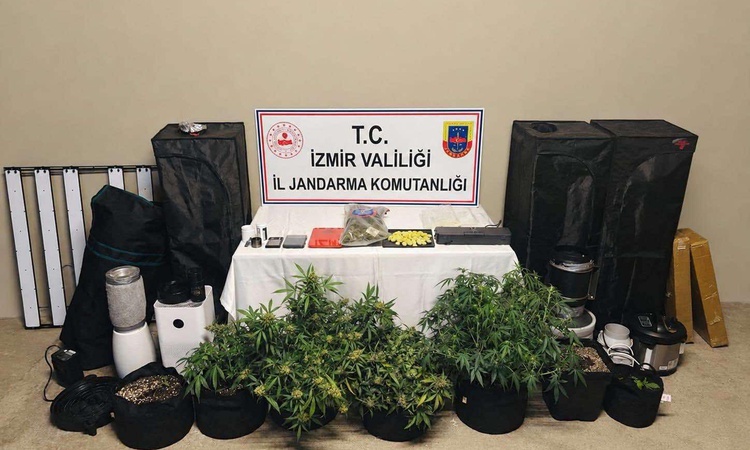 Kritik Açıklama: İzmir Karşıyaka'da operasyonda 1 şüpheli yakalanarak gözaltına sevk edildi, 7 kök skunk ele g