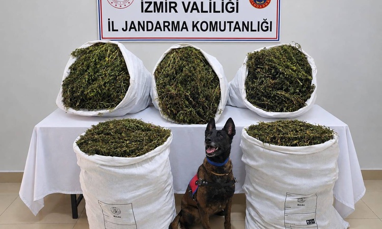 Kritik Açıklama: İzmir Tire'de jandarma 54 kilo 800 gram kubar esrar ele geçirdi, 3 şüpheli hakkında tutuklama