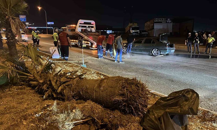 Kritik Açıklama: Kahramanmaraş'ta otomobil refüjdeki ağaca çarpıp takla attı, 3 kişi yaralandı: Gelişmeler Tak