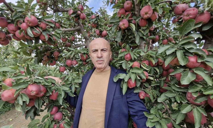 Kritik Açıklama: Karaman'da elma rekoltesi yüksek çıkınca fiyat 10 liraya kadar geriledi - Son Dakika Bilgiler