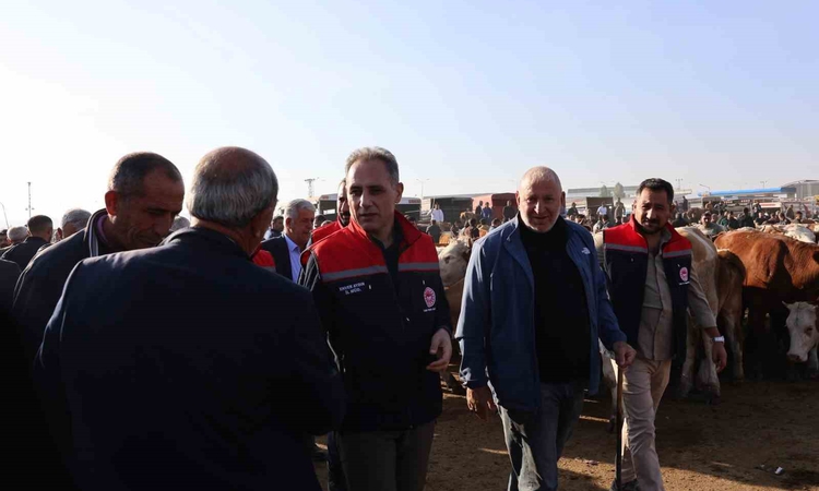Kritik Açıklama: Kars Hayvan Pazarı’nda sıkı denetim: Hayvan hareketliliğine sağlık ve güvenlik filtresi | İşt