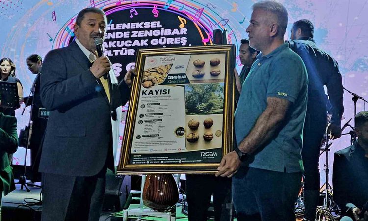 Kritik Açıklama: Malatya'nın Zengibar Cevizi Tescillendi, Dünya Standartlarında Kalite: Gelişmeler Takip Edili