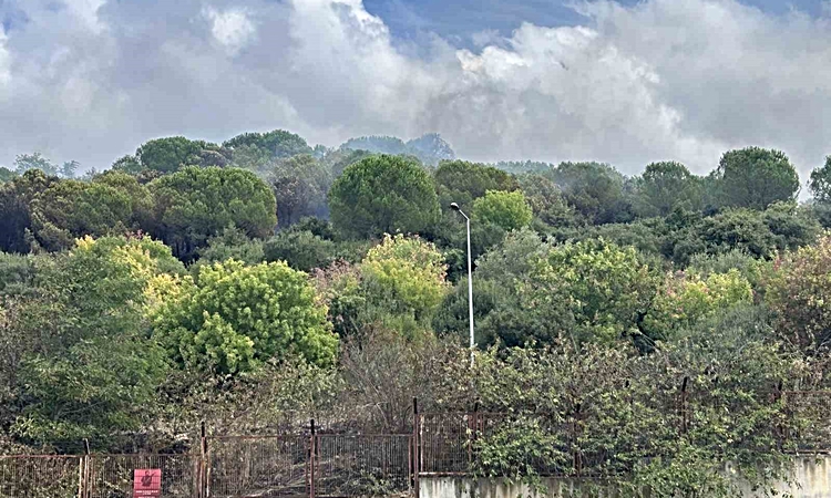 Kritik Açıklama: Maltepe’de ormanlık alanda korkutan yangın: Alevler Kenan Evren Kışlası’na sıçradı
