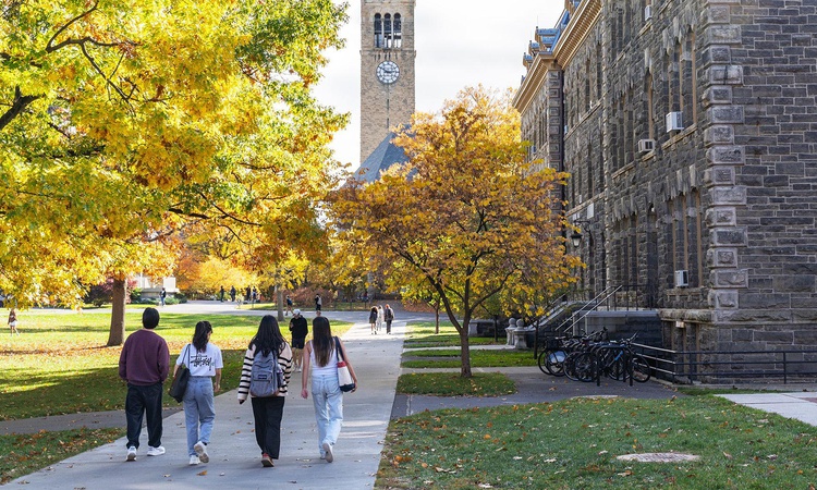 Kritik Açıklama: New York savcıları Cornell'deki toplu tecavüz iddiası soruşturmasını yeniden açacak: Gelişmel