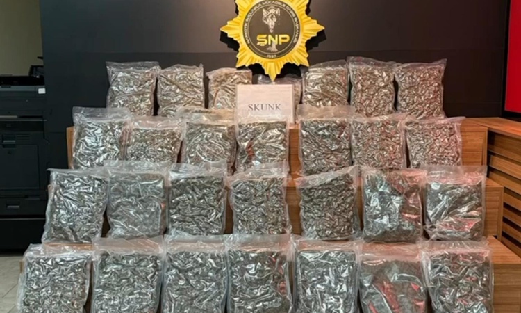 Kritik Açıklama: Şanlıurfa'da otobüste 16 kilo 400 gram skunk ele geçirildi, 1 şüpheli hakkında tutuklama kara
