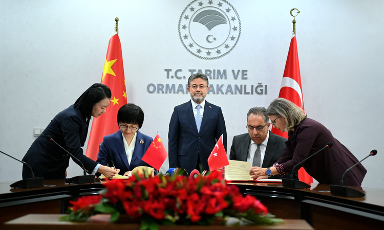 Kritik Açıklama: Türkiye ile Çin arasında "defne yaprağı" ihracatı için protokol imzalandı: Gelişmeler Takip E