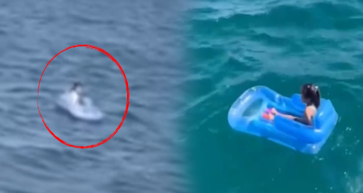 The little girl was heartbreaking: She was dragged out into the open! - Last Minute