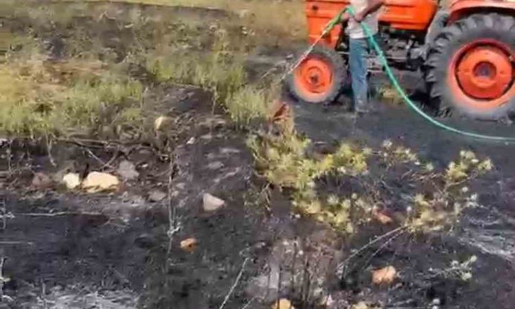 Kritik Açıklama: Kütahya'da elektrik hatlarından kaynaklı orman alevlerı dizginlendi - Son Dakika