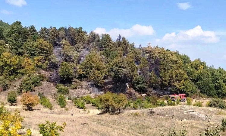 Kütahya Hisarcık'ta yangın 3 saatte söndürüldü, 6 dekar alan zarar gördü - Son Dakika Bilgileri