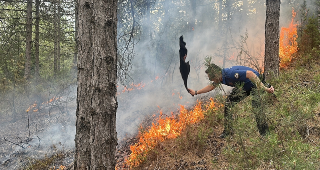 Forest fire in Kütahya - Breaking News