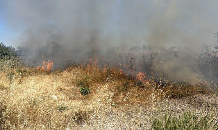 Flames in grassland in Kütahya - News