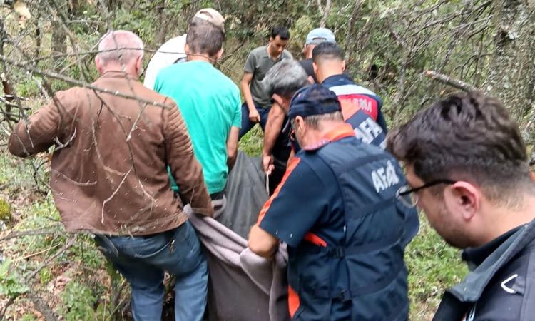 A health technician who fell off the rocks while trying to collect 'St. John's wort' in Kütahya died - News