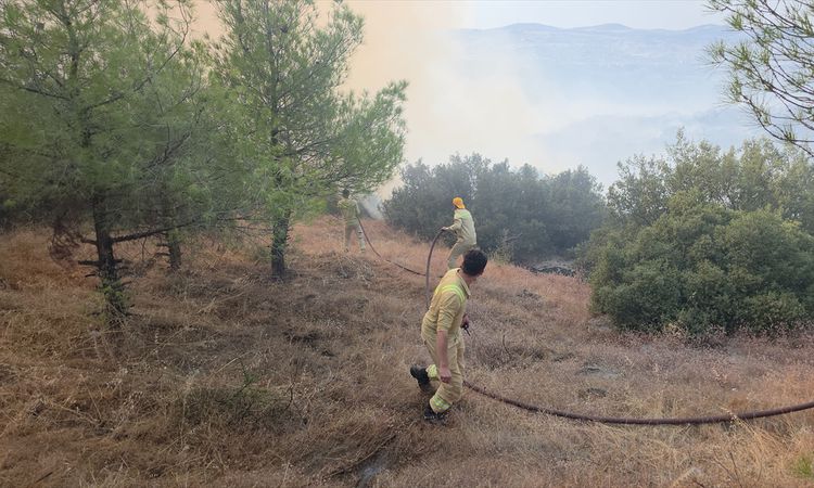 Sıcak Gündem: Manisa'da çıkan orman alevlerı dizginlendi - Son Dakika: Gelişmeler Takip Ediliyor