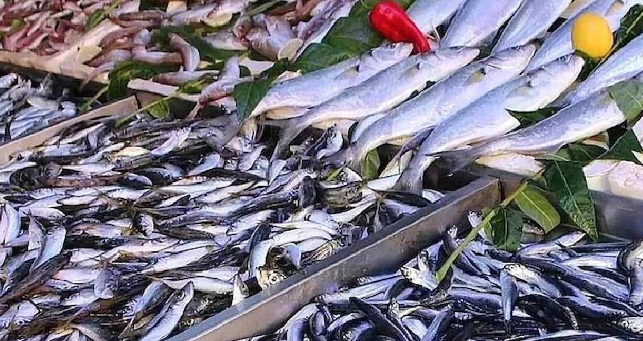 Gündemden Son Bilgiler: Mayıs ayında bu 3 balığı yemeyin uyarısı yapıldı - Haberleri | İşte Tüm Ayrıntılar